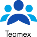 teamex custom t shirt logo